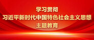 插美女逼逼网站学习贯彻习近平新时代中国特色社会主义思想主题教育_fororder_ad-371X160(2)